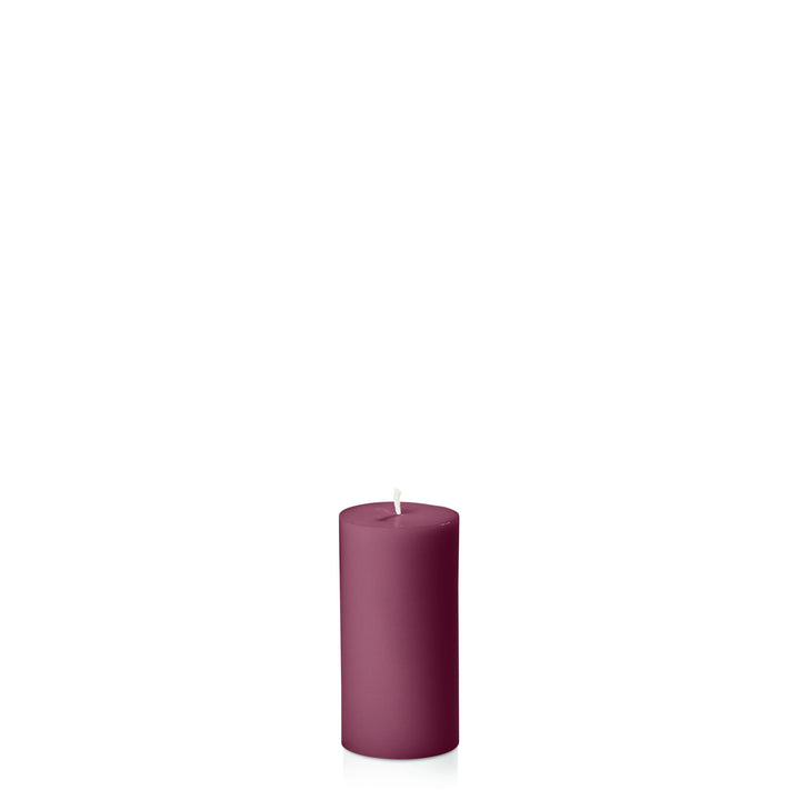 Plum 5cm x 10cm Slim Pillar Pack of 1