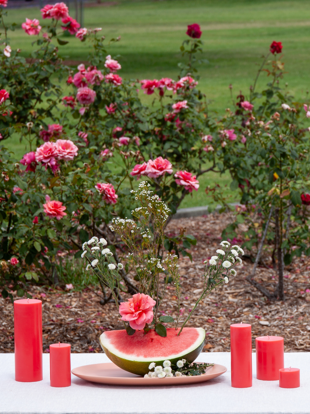 Watermelon 5cm x 10cm Slim Pillar Pack of 1