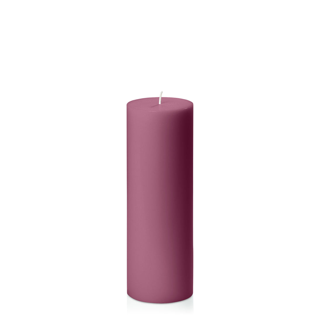 Plum 7cm x 20cm Pillar Pack of 1