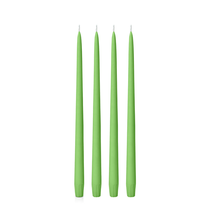 Lime 35cm Taper Candles Pack of 4