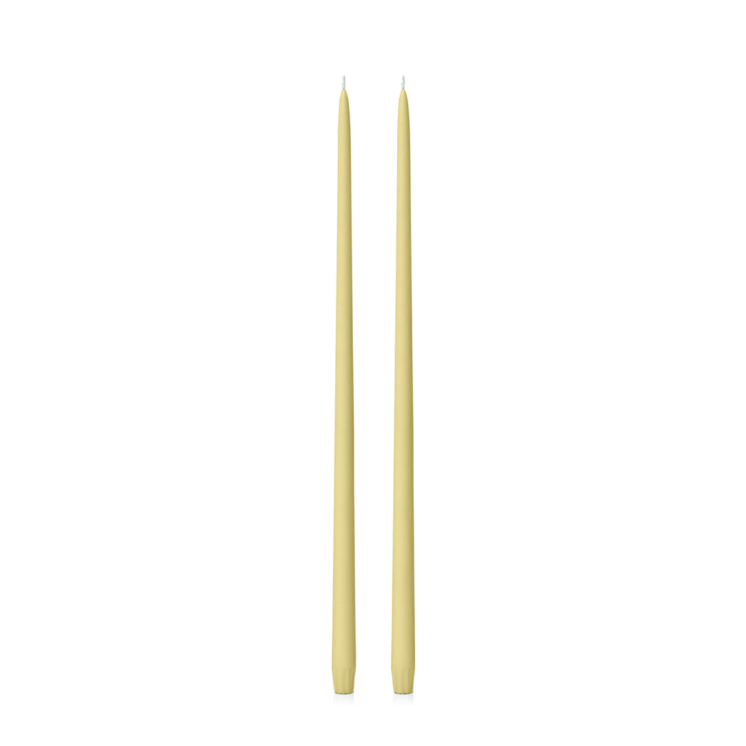 Lemon 55cm Taper Candles Pack of 2