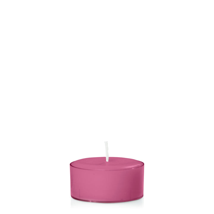 Magenta Tealights Pack of 24